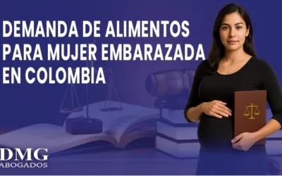 Demanda de alimentos para mujer embarazada