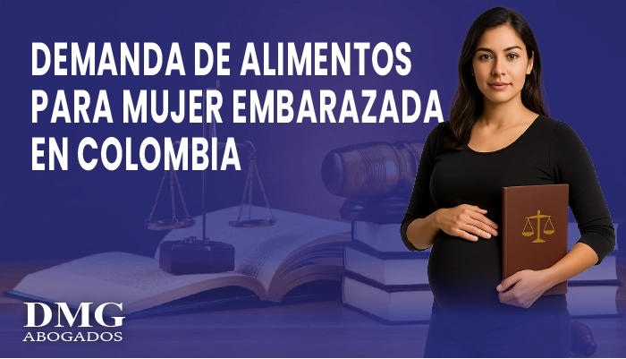 Demanda de alimentos para mujer embarazada